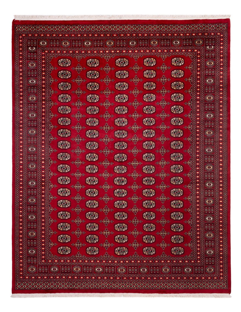 Afghansk matta - Bukhara - 308 x 243 cm - röd