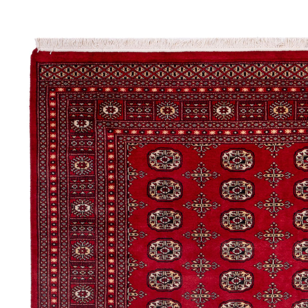 Bukhara Mattan 243x308cm - Oriental Carpet