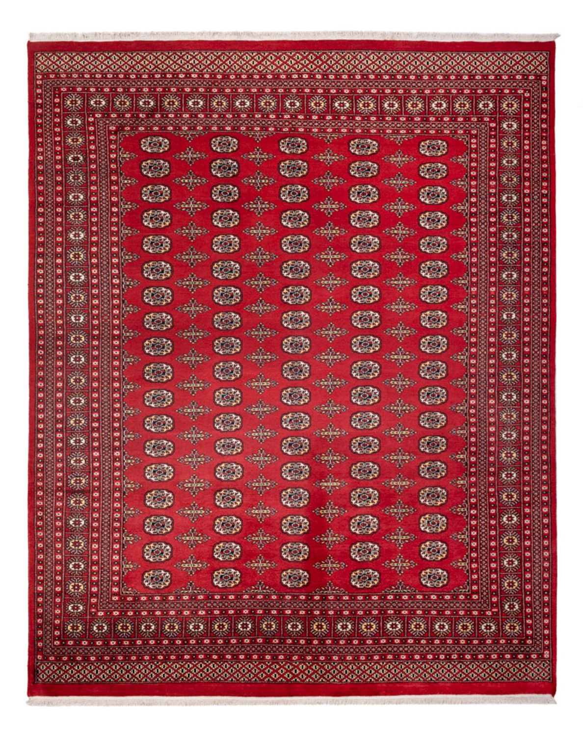 Afghansk matta - Bukhara - 312 x 244 cm - röd