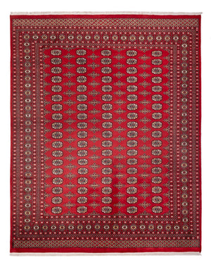 Afghansk matta - Bukhara - 312 x 244 cm - röd