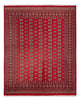 Bukhara Mattan 244x312cm - Oriental Carpet