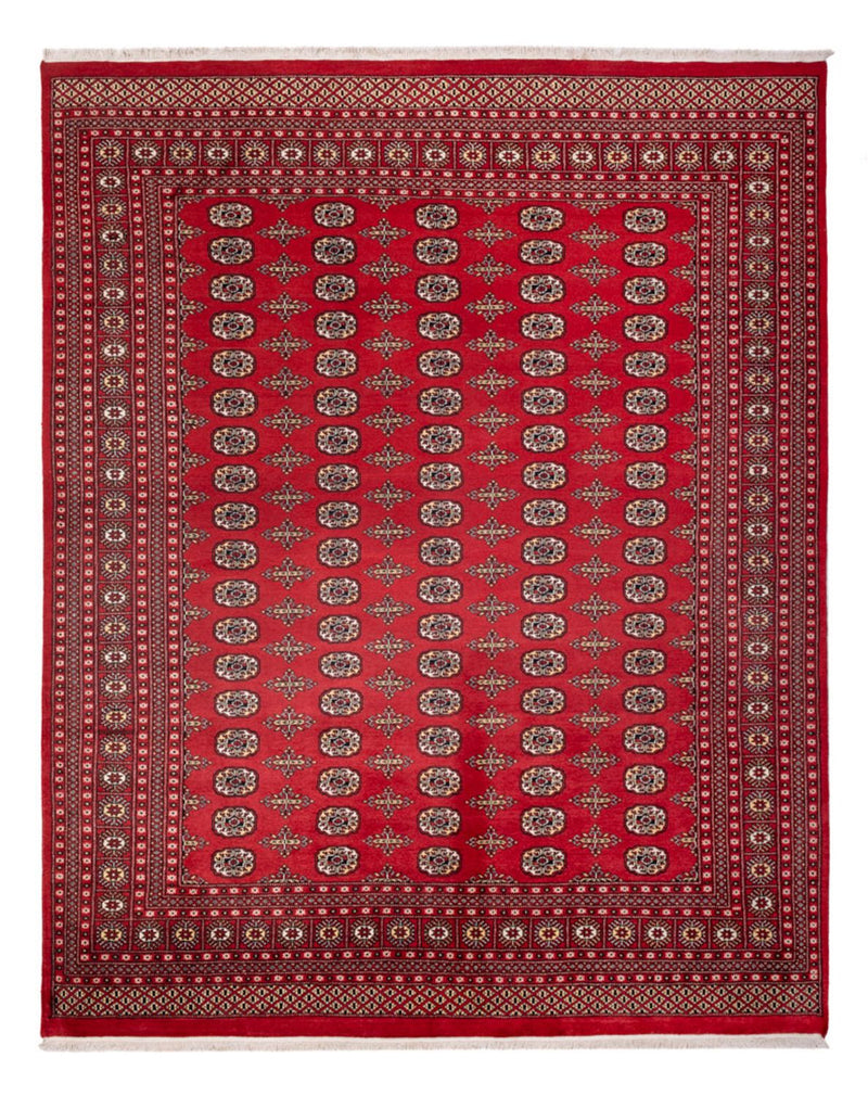 Afghansk matta - Bukhara - 312 x 244 cm - röd