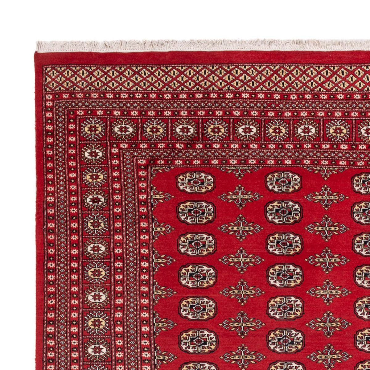 Bukhara Mattan 244x312cm - Oriental Carpet