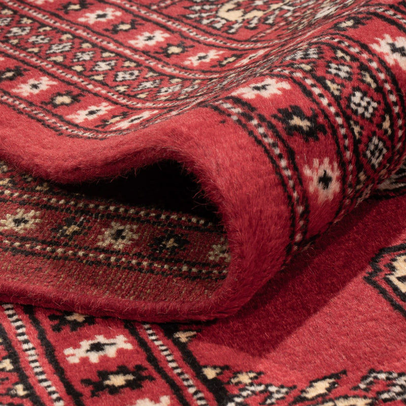 Afghansk matta - Bukhara - 312 x 244 cm - röd