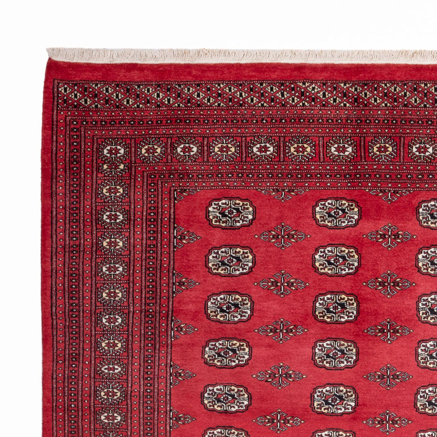 Bukhara Mattan 305x246cm - Oriental Carpet