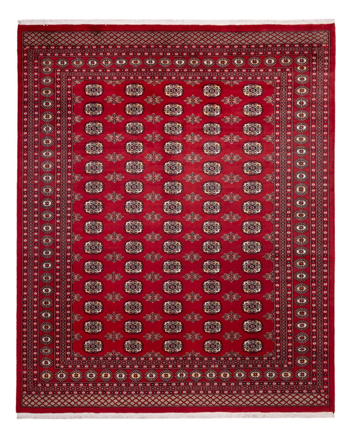 Afghansk matta - Bukhara - 301 x 245 cm - röd