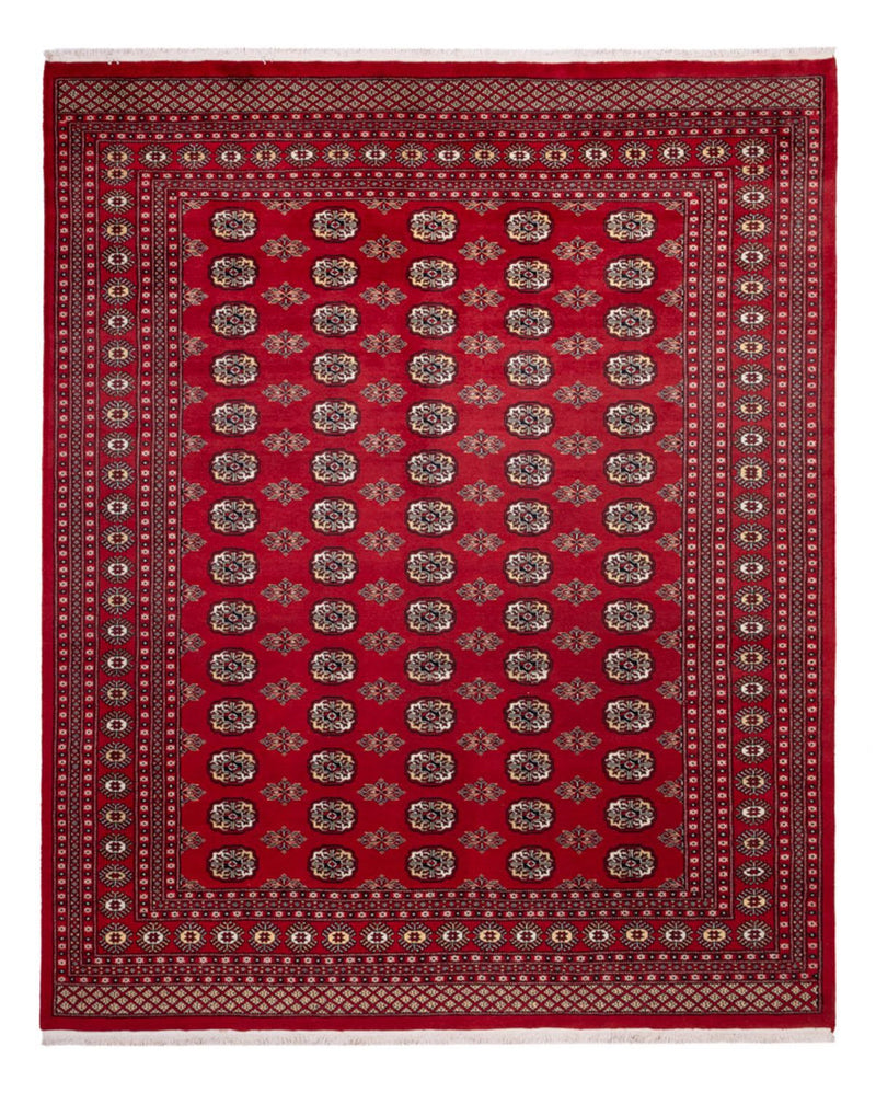 Afghansk matta - Bukhara - 301 x 245 cm - röd