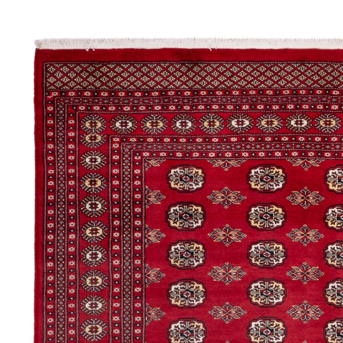 Bukhara Mattan 301x245cm - Oriental Carpet