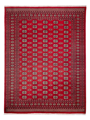 Afghansk matta - Bukhara - 314 x 243 cm - röd