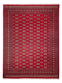 Afghansk matta - Bukhara - 314 x 243 cm - röd