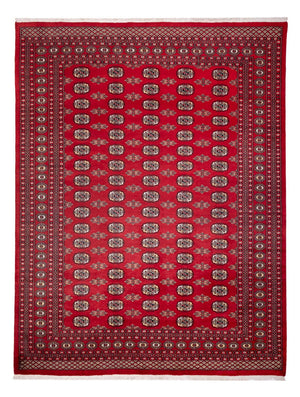 Afghansk matta - Bukhara - 314 x 243 cm - röd