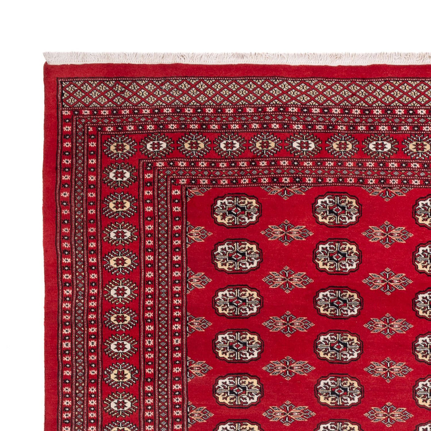 Bukhara Mattan 314x243cm - Oriental Carpet