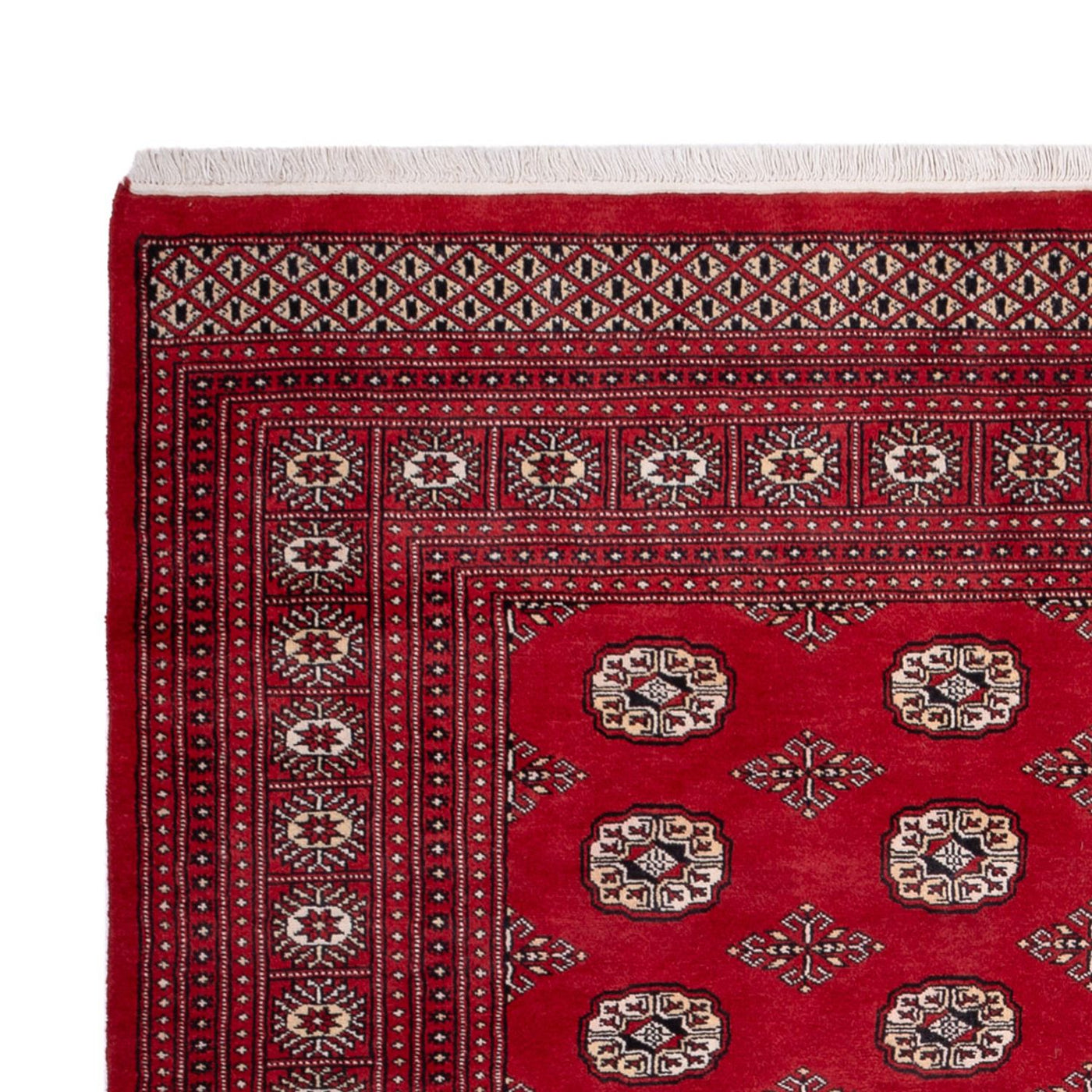 Bukhara Mattan 290x200cm - Oriental Carpet