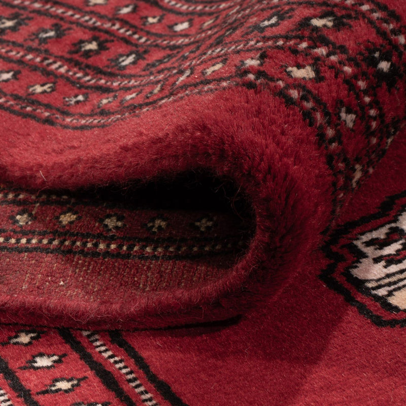 Afghansk matta - Bukhara - 290 x 200 cm - röd