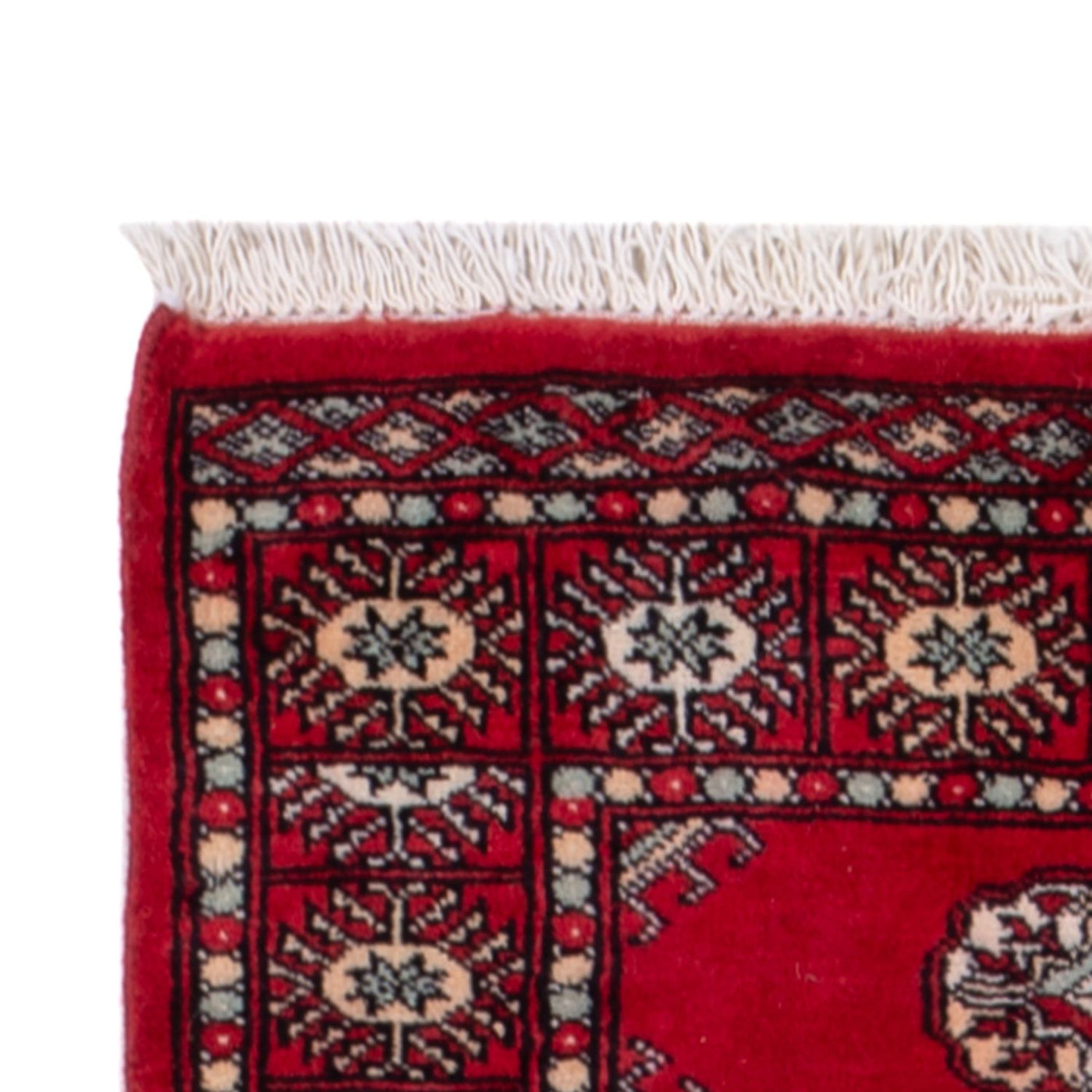 Pakistanska mattan 255x77cm - Oriental Carpet
