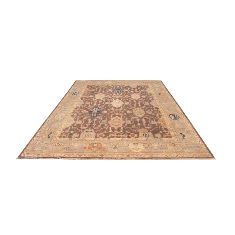 Ziegler Carpet - Usak - 353 x 244 cm - mörk beige