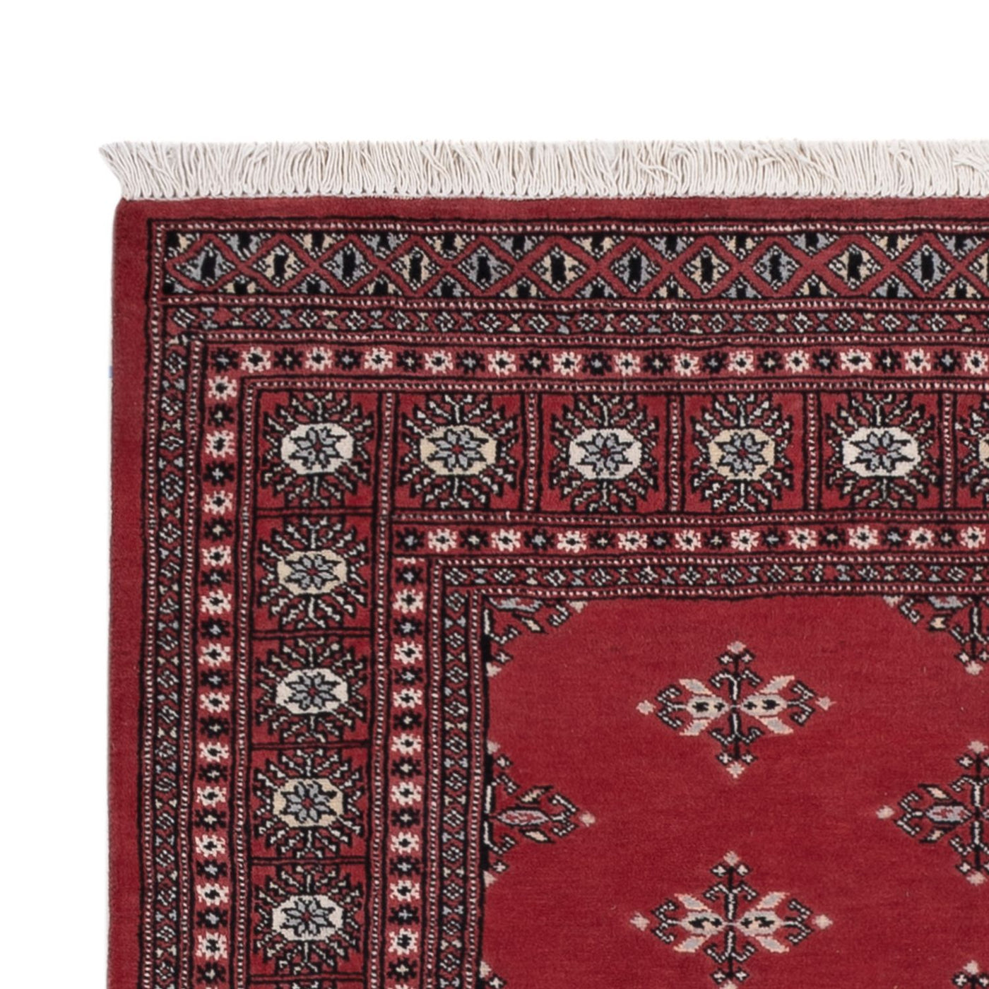 Pakistanska mattan 199x140cm - Oriental Carpet