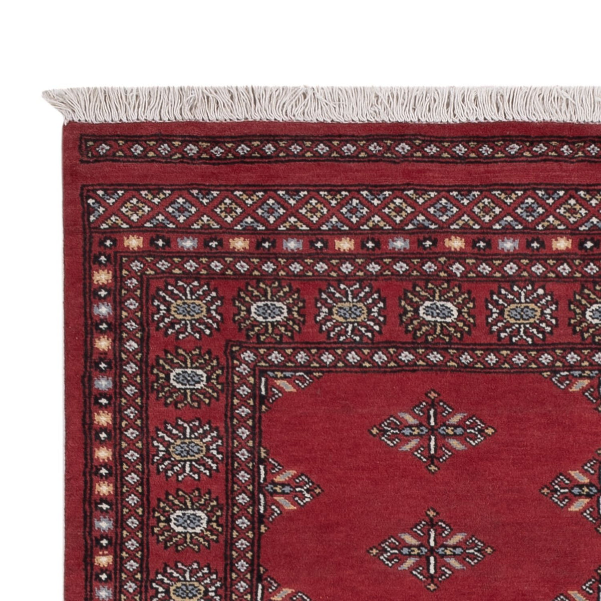 Pakistanska mattan 137x215cm - Oriental Carpet