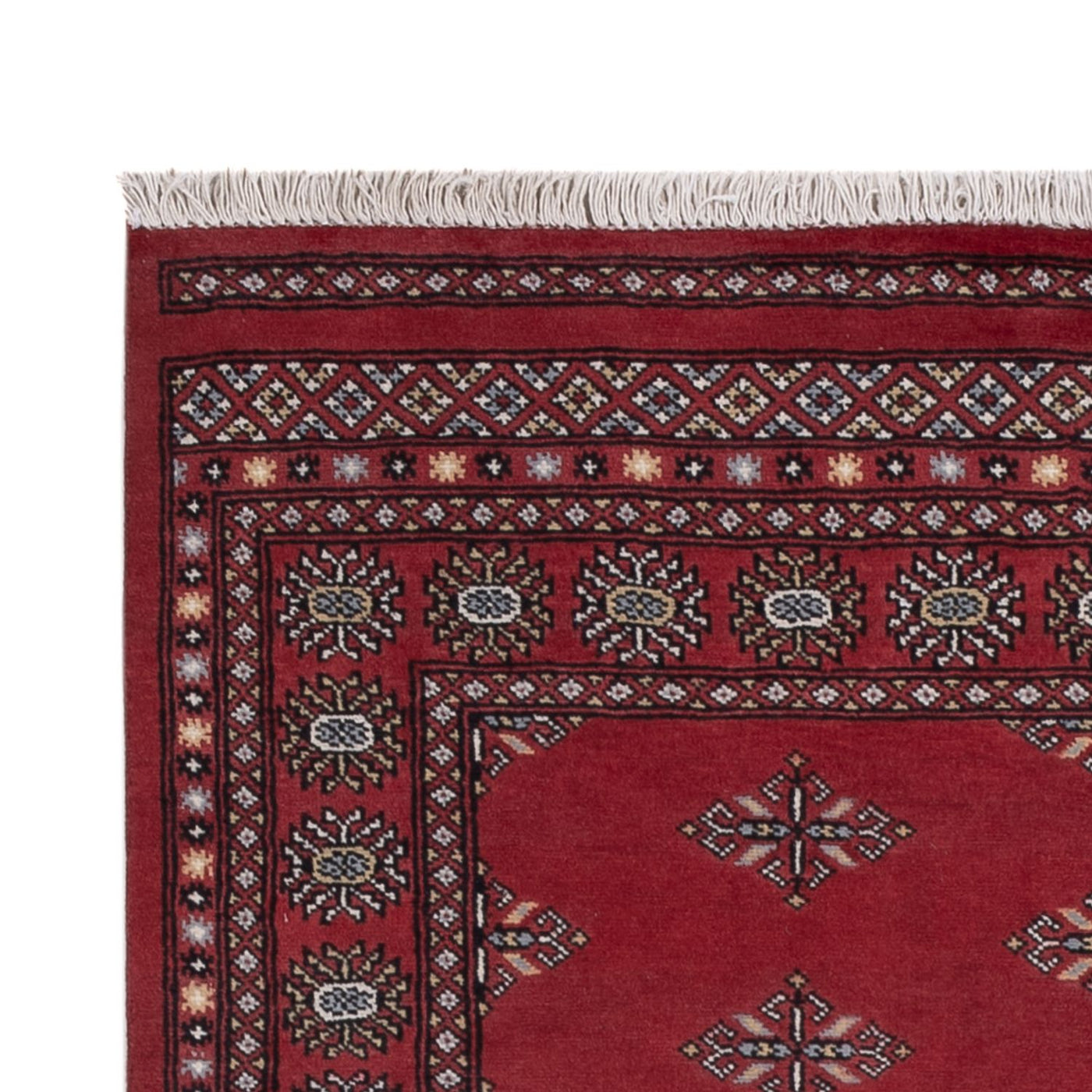 Pakistanska mattan 205x138cm - Oriental Carpet