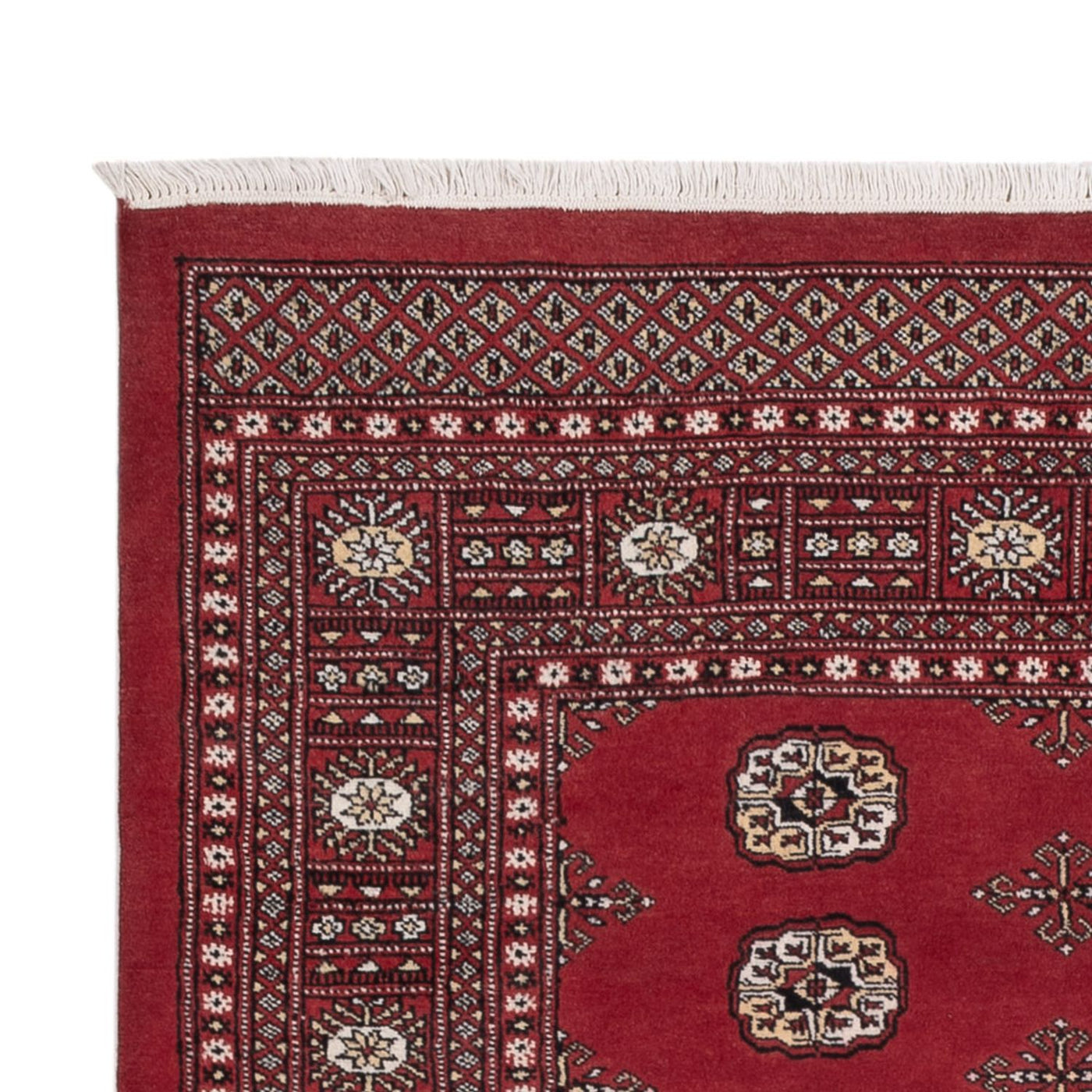 Pakistanska mattan 216x139cm - Oriental Carpet