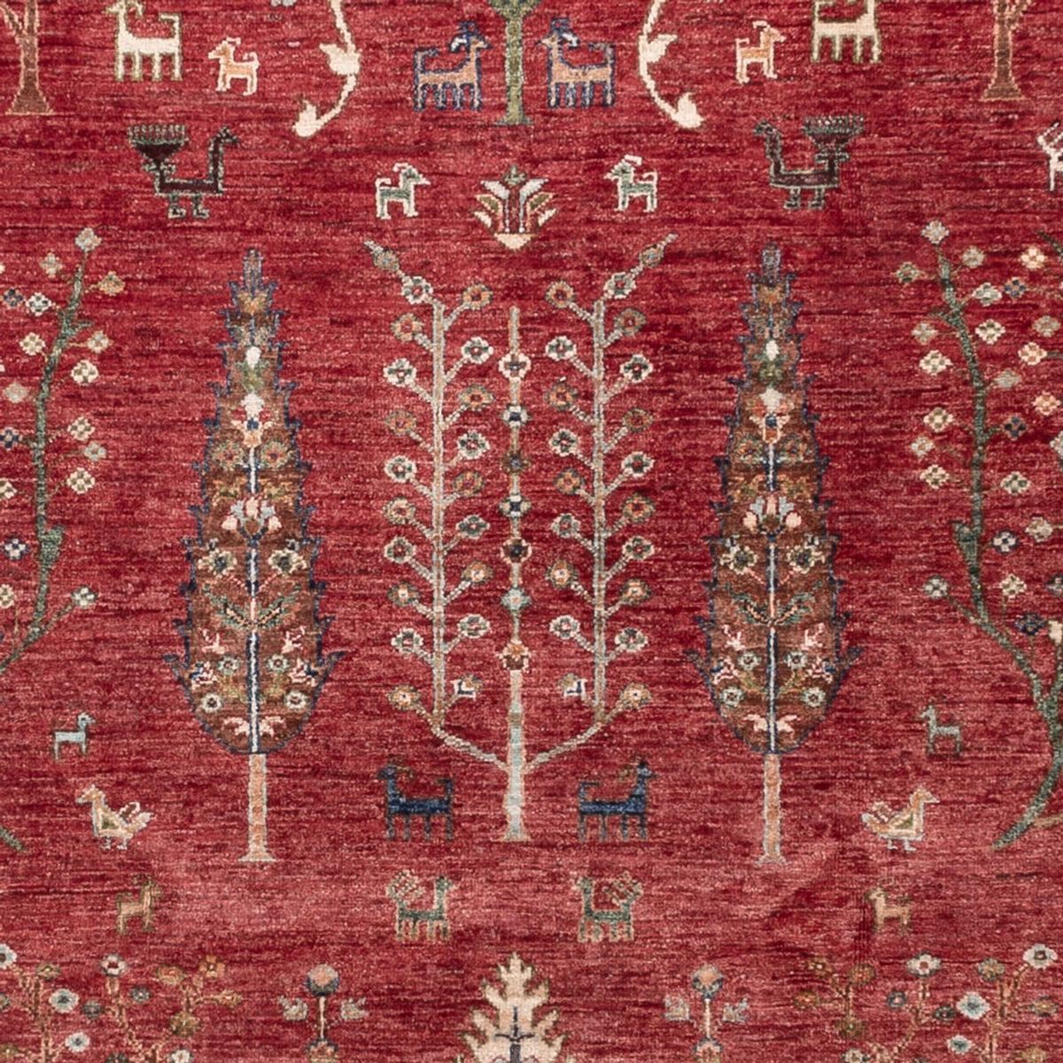 Ziegler Carpet - Ariana - 301 x 210 cm - röd