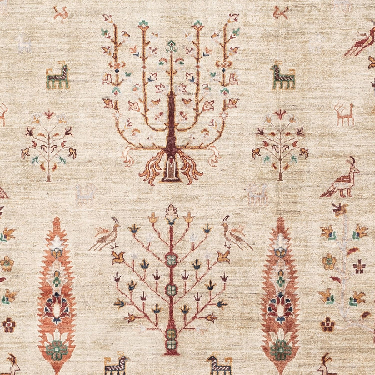 Ziegler Carpet - Ariana - 305 x 207 cm - beige