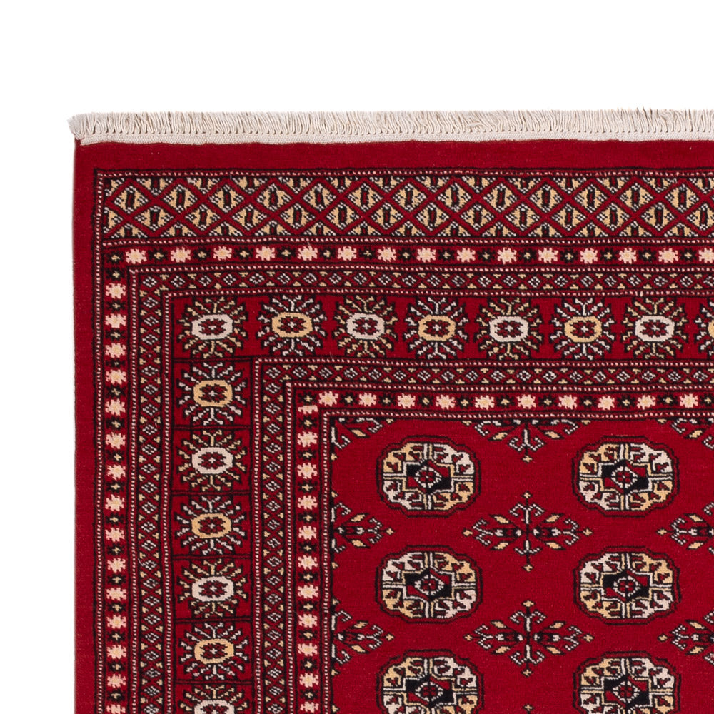 Pakistanska mattan 256x167cm - Oriental Carpet