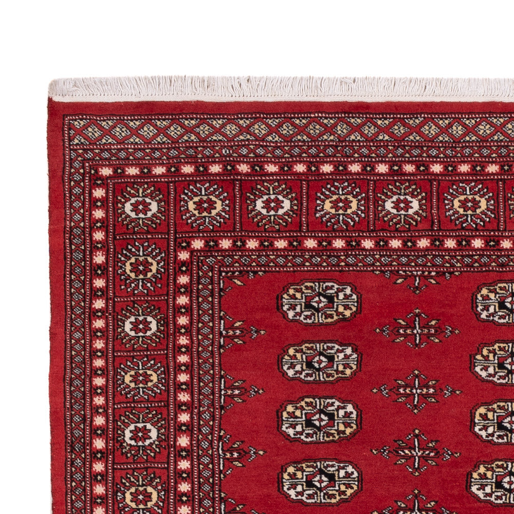 Pakistanska mattan 243x168cm - Oriental Carpet