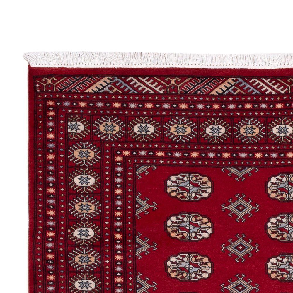 Pakistanska mattan 241x154cm - Oriental Carpet