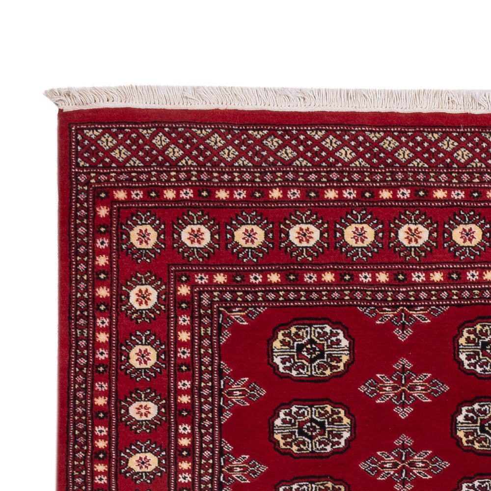 Pakistanska mattan 244x154cm - Oriental Carpet