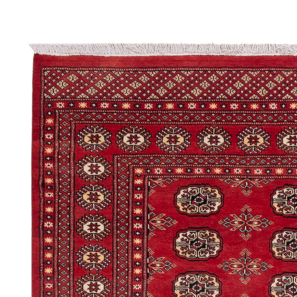 Pakistanska mattan 237x158cm - Oriental Carpet