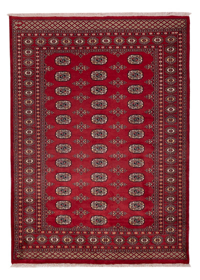 Pakistanska mattan 171x240cm - Oriental Carpet