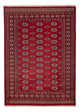 Pakistanska mattan 240x171cm - Oriental Carpet