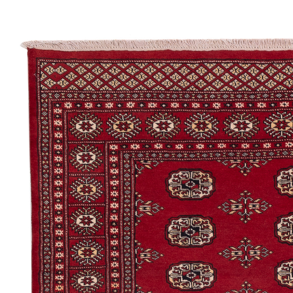Pakistanska mattan 240x171cm - Oriental Carpet