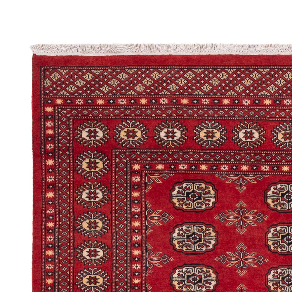 Pakistanska mattan 159x250cm - Oriental Carpet