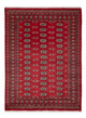 Pakistanska mattan 231x172cm - Oriental Carpet