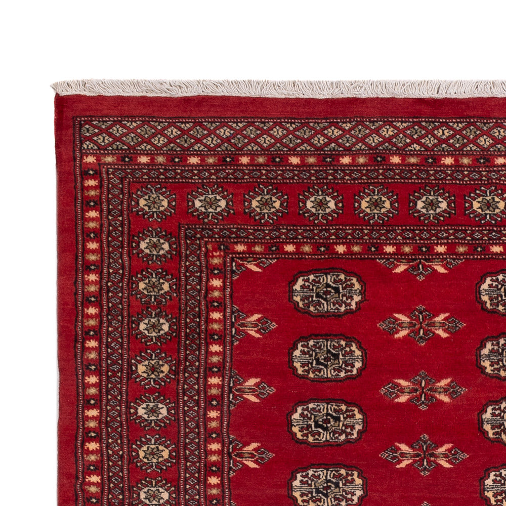 Pakistanska mattan 231x172cm - Oriental Carpet