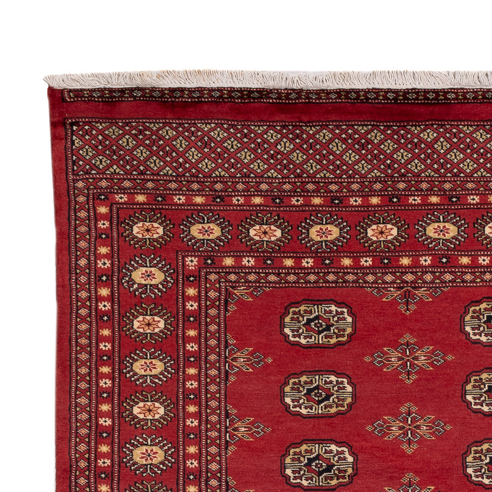 Pakistanska mattan 241x173cm - Oriental Carpet