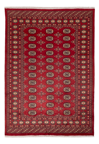 Pakistanska mattan 170x245cm - Oriental Carpet