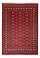 Pakistanska mattan 245x170cm - Oriental Carpet
