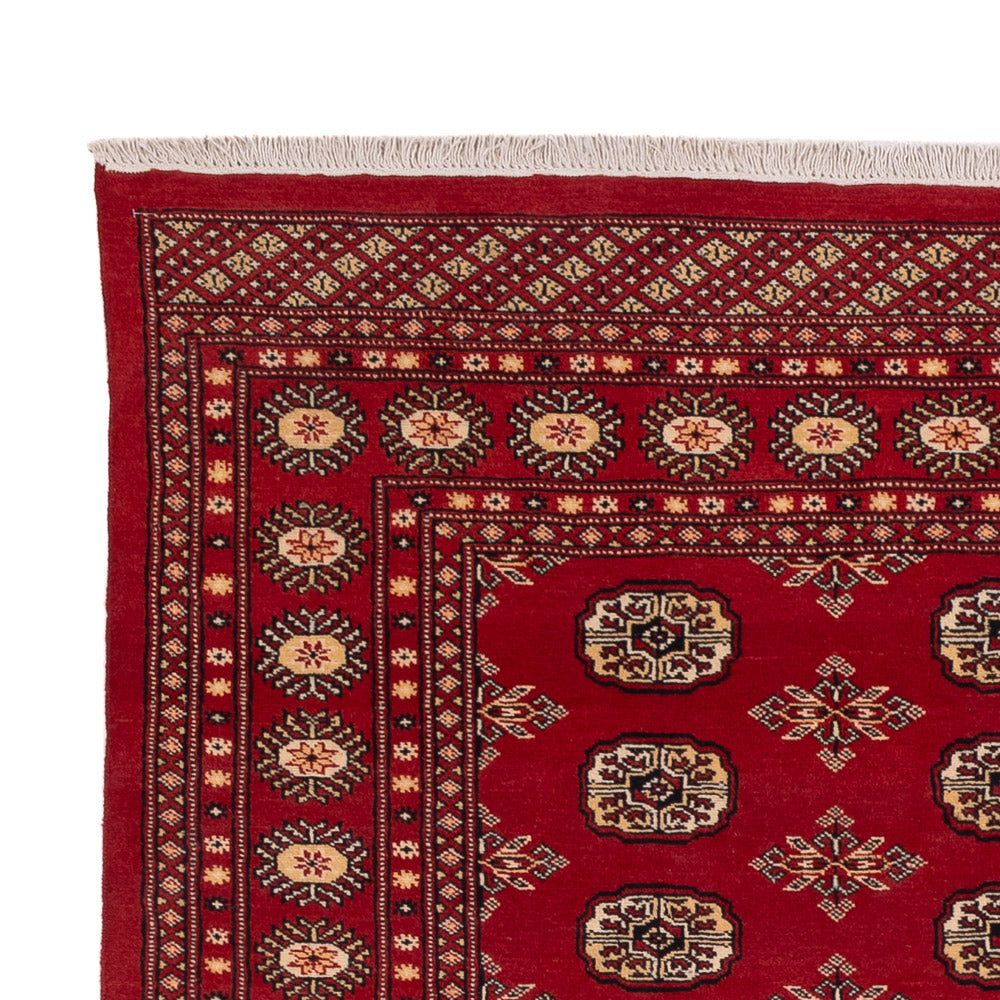 Pakistanska mattan 245x170cm - Oriental Carpet