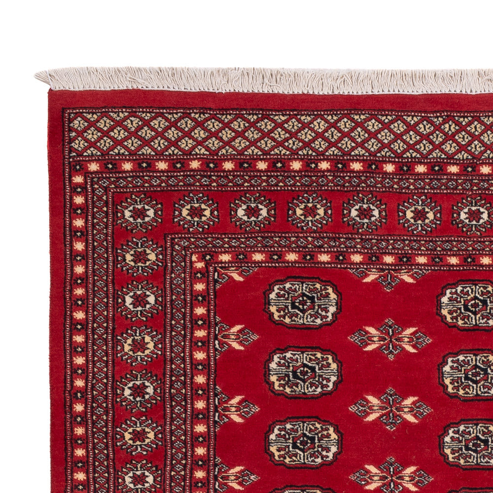 Pakistanska mattan 258x179cm - Oriental Carpet