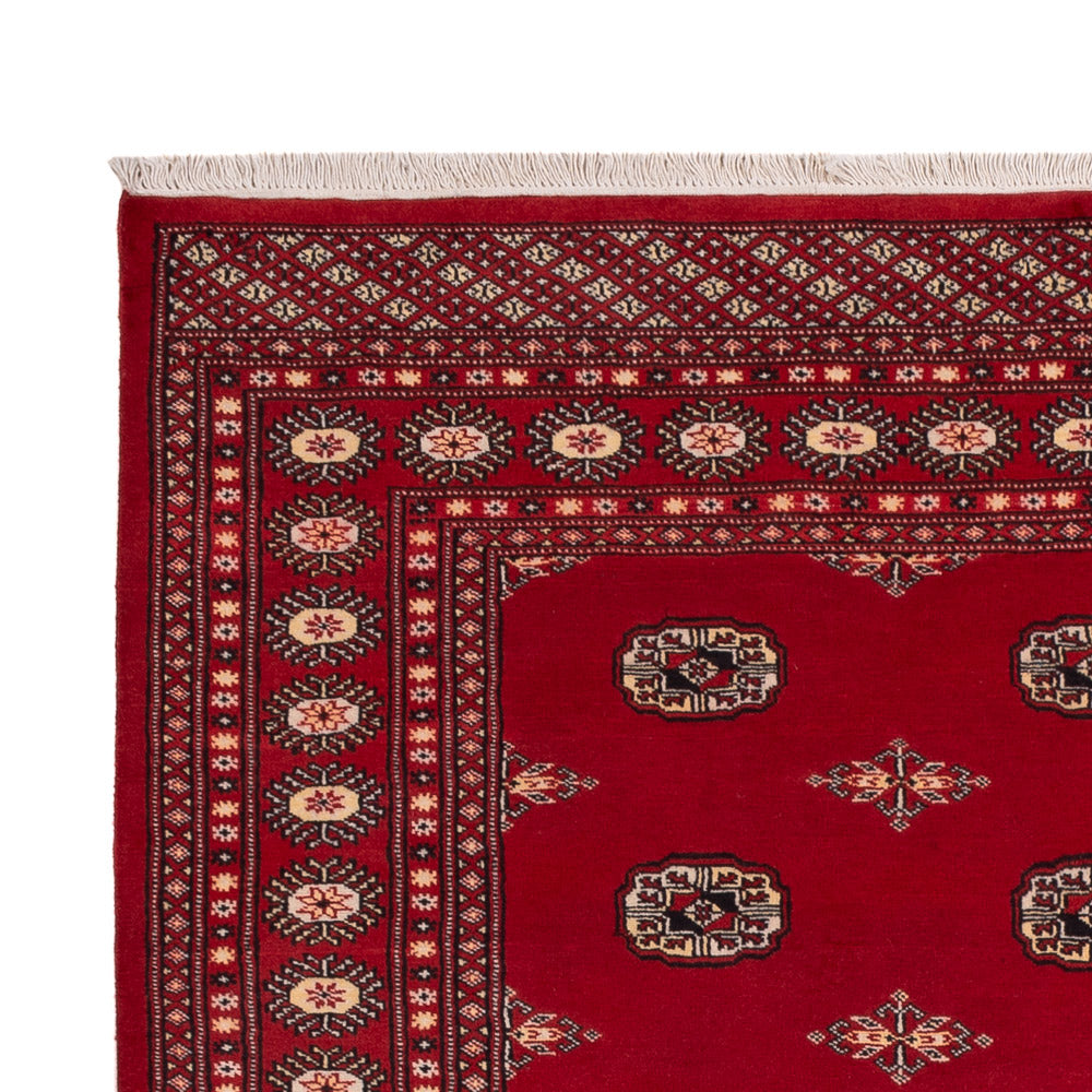 Pakistanska mattan 171x236cm - Oriental Carpet