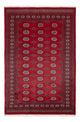 Pakistanska mattan 249x167cm - Oriental Carpet