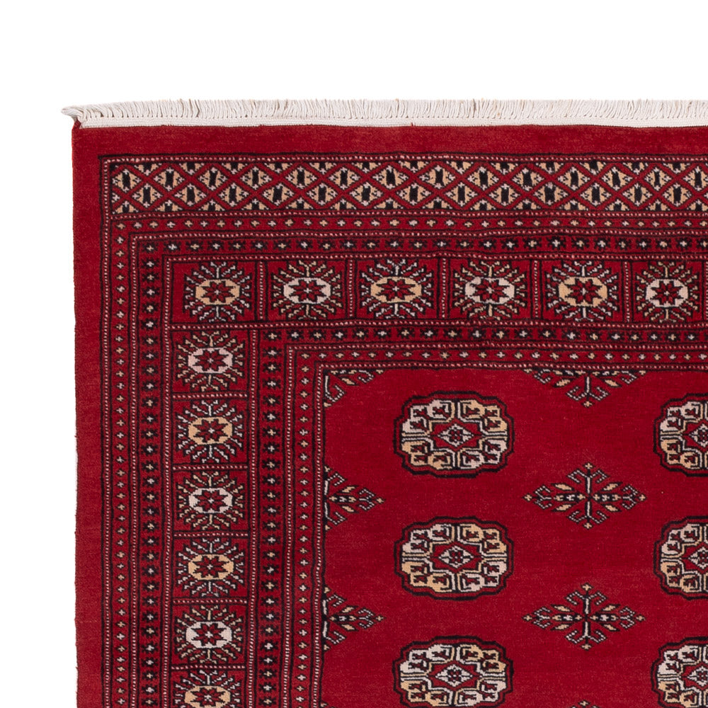Pakistanska mattan 249x167cm - Oriental Carpet