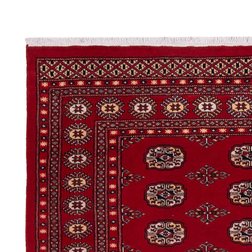 Pakistanska mattan 266x167cm - Oriental Carpet