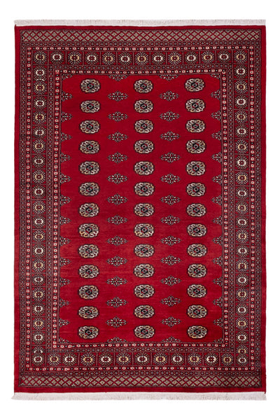 Pakistanska mattan 164x239cm - Oriental Carpet