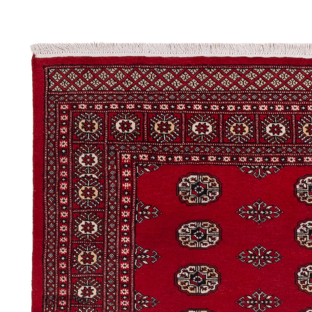 Pakistanska mattan 239x164cm - Oriental Carpet