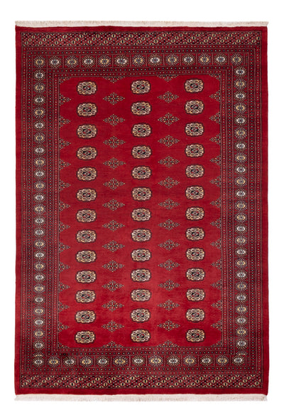 Pakistanska mattan 165x235cm - Oriental Carpet