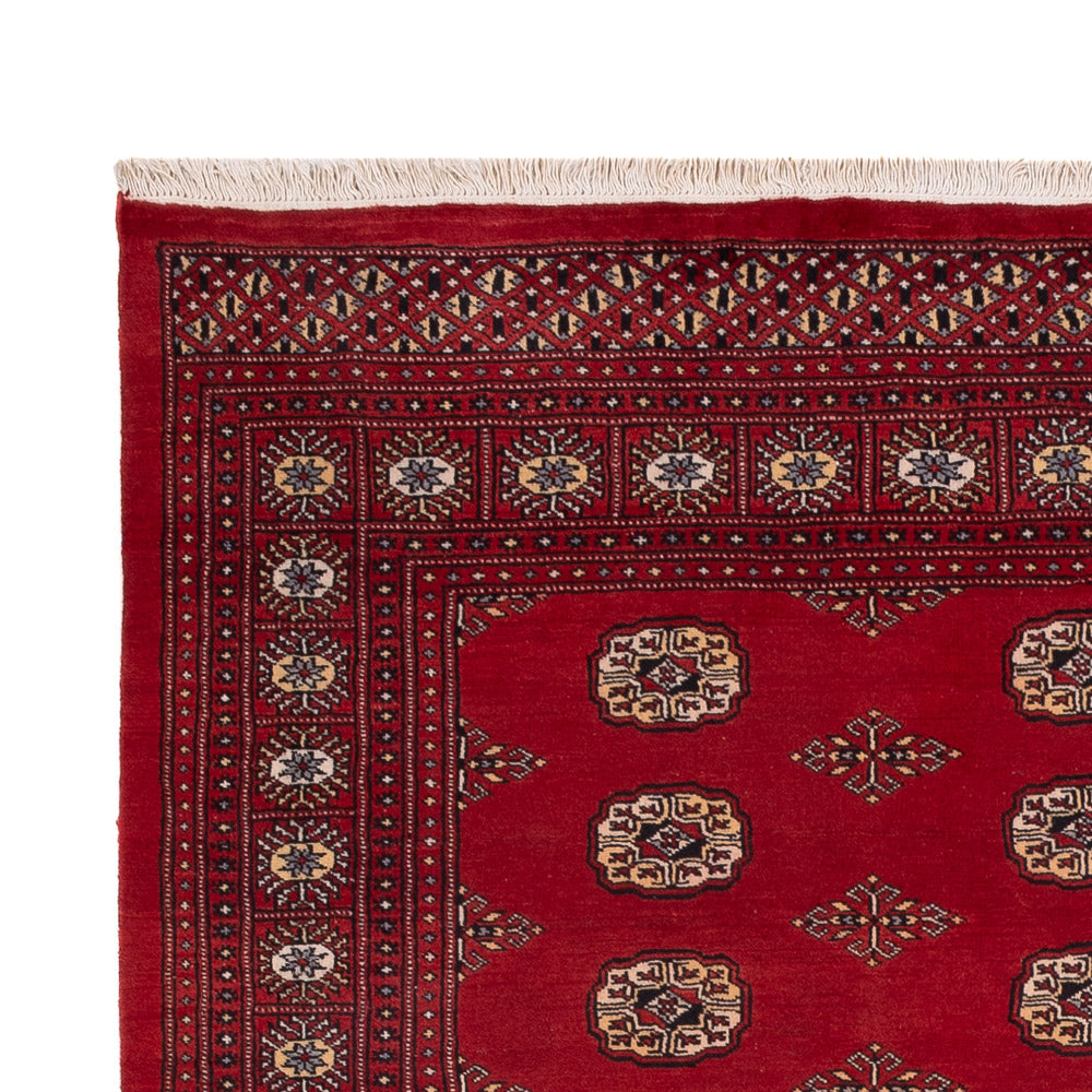 Pakistanska mattan 235x165cm - Oriental Carpet